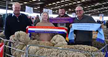 Five sheep selected by chance claim flock ewe title at National Merino Show