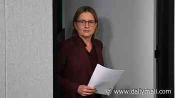Former Victoria Premier Jacinta Allan officially quits politics