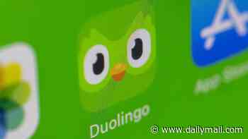 Duolingo restores boy's streak after he missed lesson due to hospital stay ...before being inundated with requests from other chancers