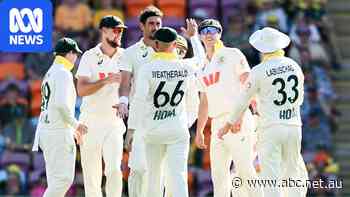 Live: Bangladesh opener scores fifty as Aussie bowlers toil in Darwin