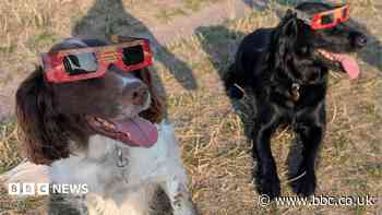 How the North West watched the solar eclipse