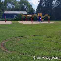 Donuts on lawn leads to charges for 23-year-old Phelps resident