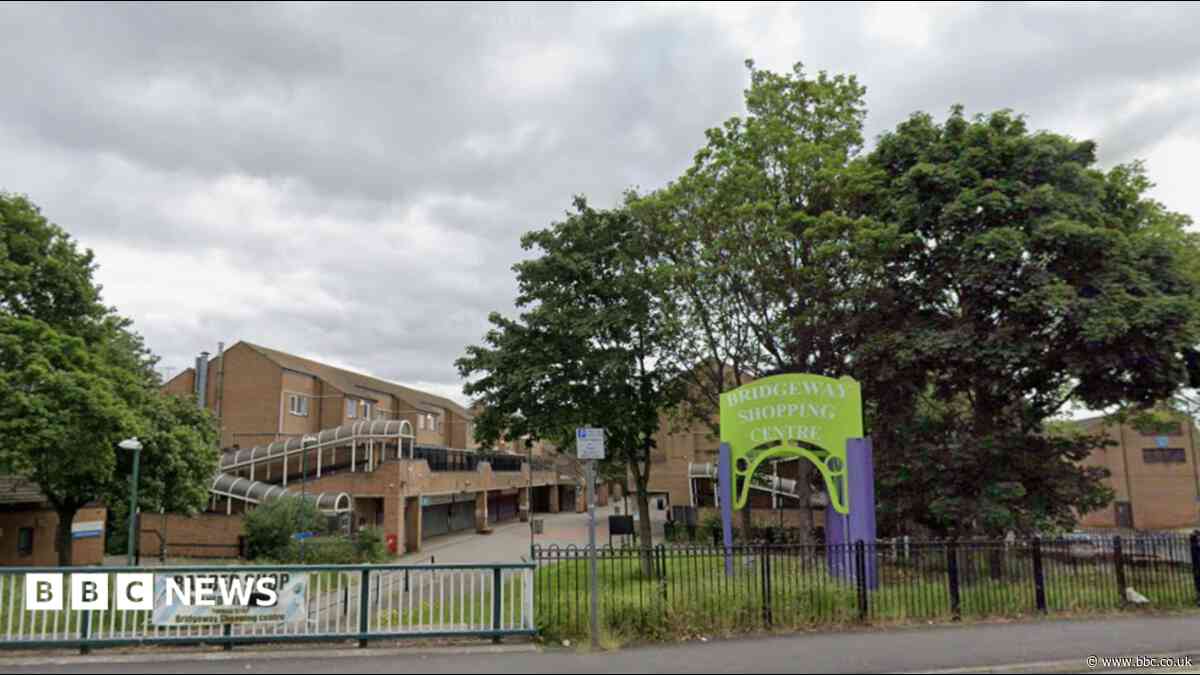 Man stabbed in shopping centre fight