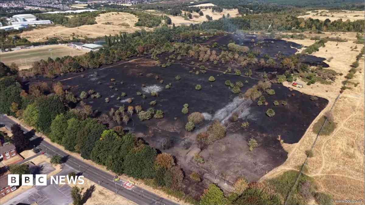 Drone images show scale of field fire