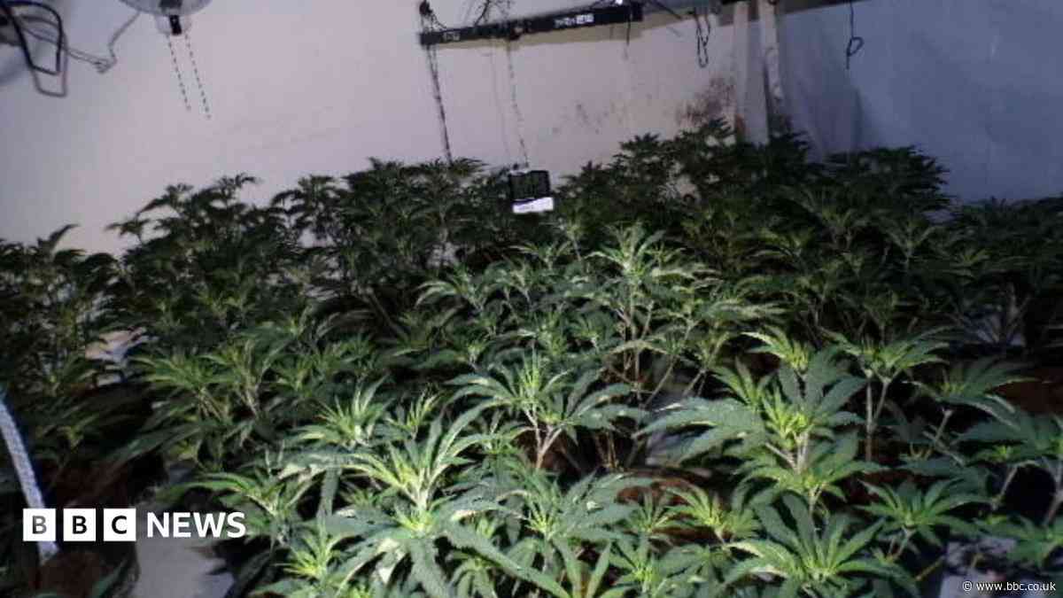 Cannabis farm equipment caused village house fire