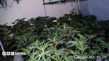 Cannabis farm equipment caused village house fire