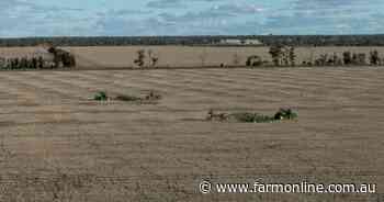 Premier farming and grazing country with irrigation on the market | Videos