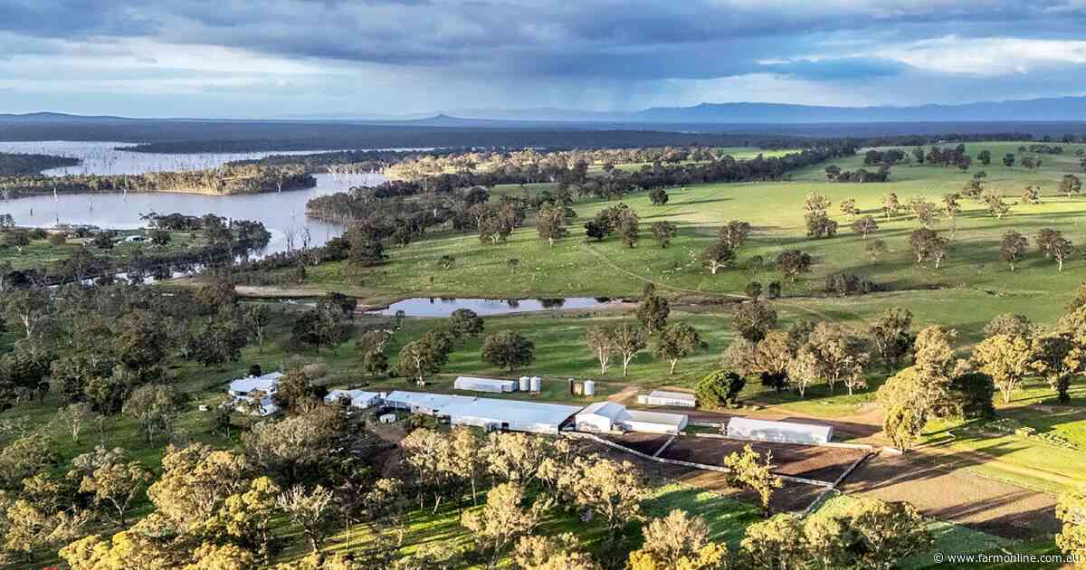 Puls family lists iconic Western District sheep property after 65 years