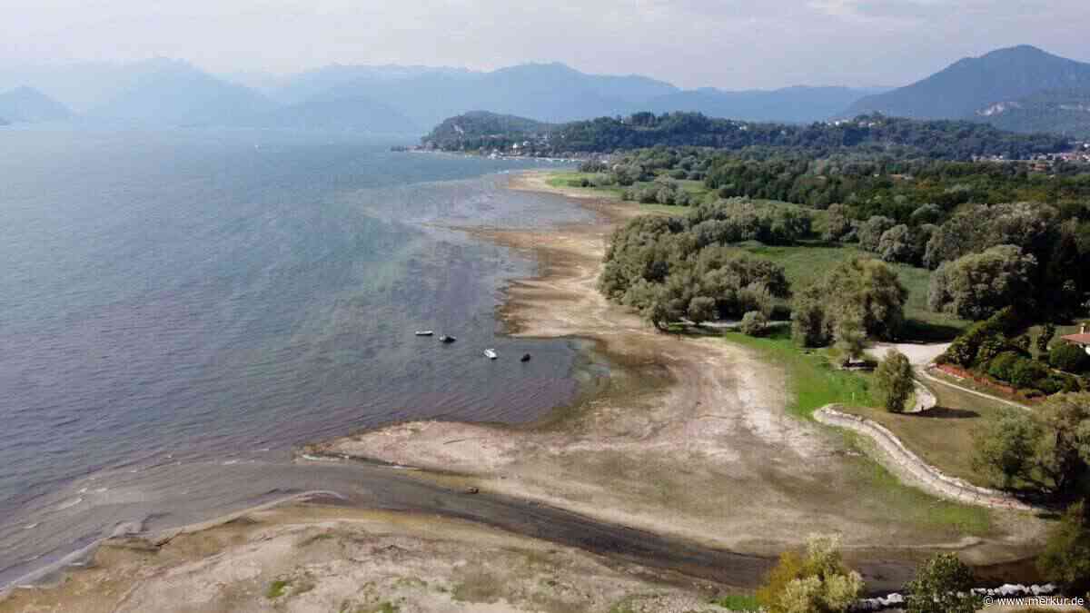 Der Lago Maggiore trocknet aus: Aufwendige Rettungsaktion beginnt