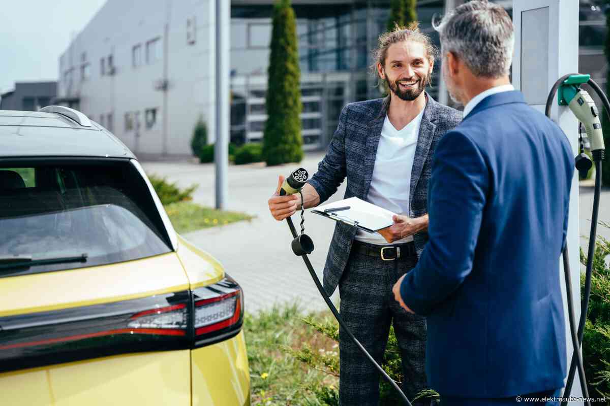 Dudenhöffer fordert Ende der E-Auto-Prämie
