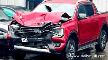 Father-of-three, 51, is left brain-damaged after steel plate falls off lorry... and driver gets £100 fine