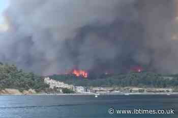Hundreds Rescued From Greek Beaches by Small Boats as Raging Wildfires Force Evacuations