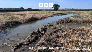 ‘Nothing being done' to burst pipe during drought