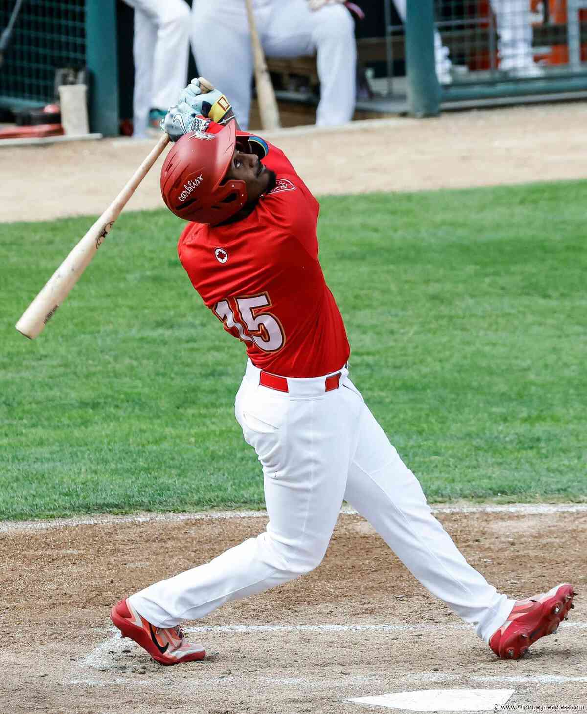 Fish batter Canaries to climb atop division