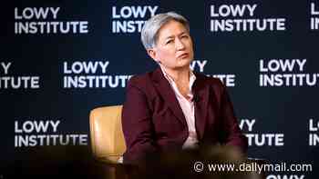 Penny Wong launches blistering attack on Pauline Hanson over her vision for Australia: 'Seeks to divide for clicks and votes'