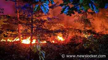 LIVE | Natuurbrand in bosgebied tussen Elst en Veenendaal