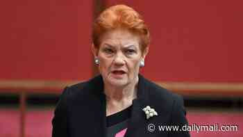 Pauline Hanson struggles to name leaders of Australian allies: 'I can't remember'