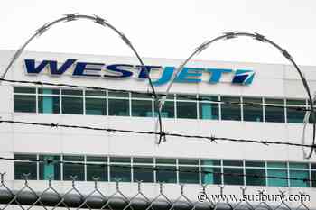Court approves $4.5M settlement in WestJet flight attendant harassment case: law firm