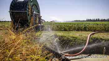 Lezers: ’Nederland heeft het watermanagement niet op orde’