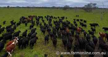 US ranchers tipped to muster up the money for $3b Paraway Pastoral estate