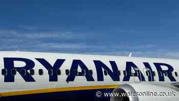 Engine part shattered Ryanair window and saw man sucked from plane