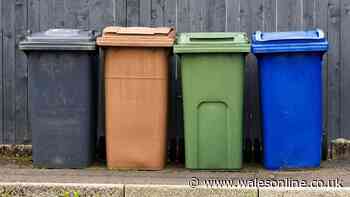 Rubbish 'will not be taken away' if binmen spot common item in recycling bin