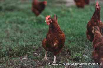 Royal Show cuts poultry competition over bird-flu concerns
