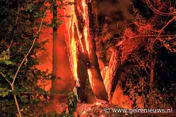 Brandende boom zorgt voor lange brandweerinzet