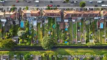 Neighbours could report you to the council if you do one thing in your garden