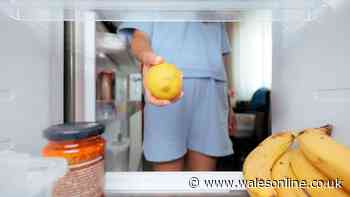 Food waste expert shares food items which belong in fridge - including biscuits