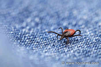 Ticks that cause Lyme and other diseases have migrated south. Are doctors ready?