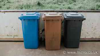 Binman says rubbish 'won't be collected' if 1 item is spotted in recycling waste