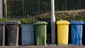 Your rights if council forgets to empty bin and when they may still not come back
