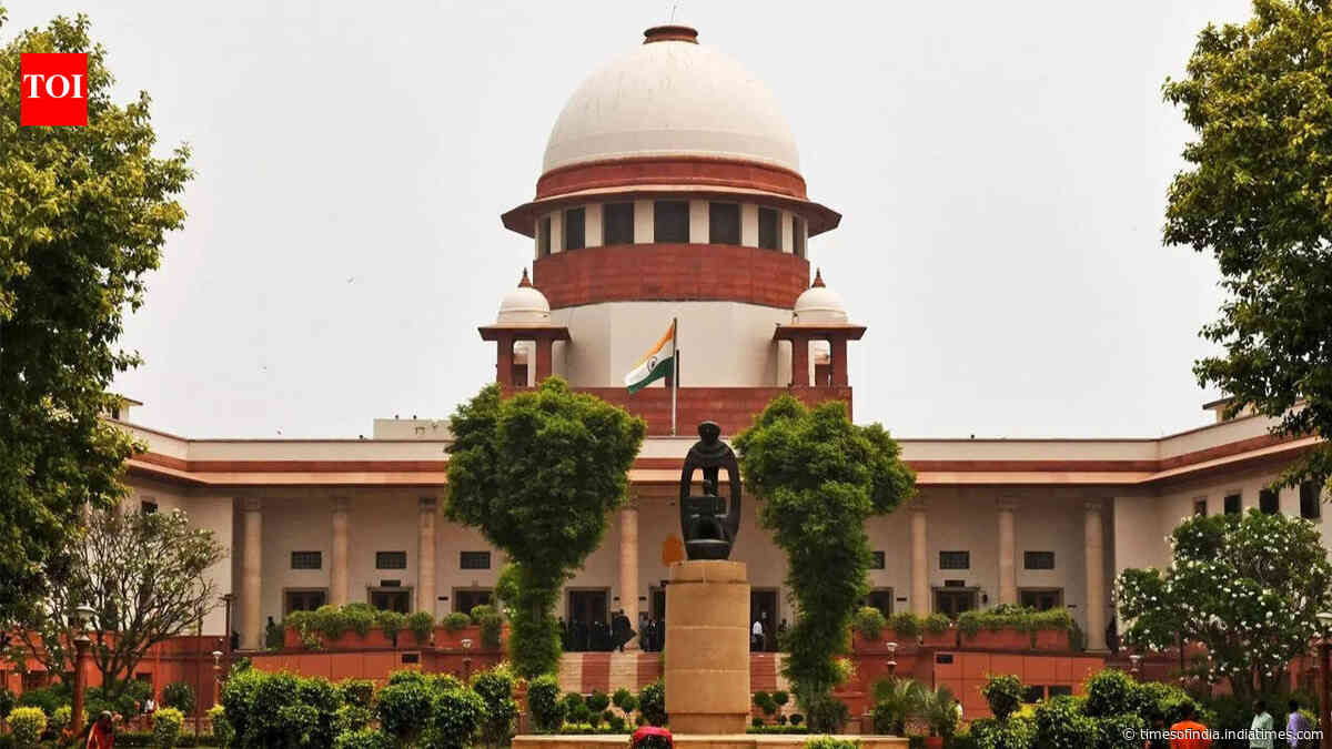 ‘Shouldn’t govt give employment?’ Supreme Court stays HC order on jobs for Karur stampede victims' kin