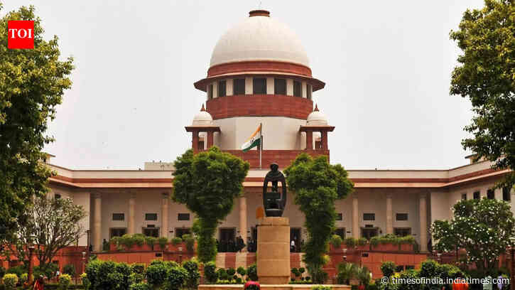 ‘Shouldn’t govt give employment?’ Supreme Court stays HC order on jobs for Karur stampede victims' kin