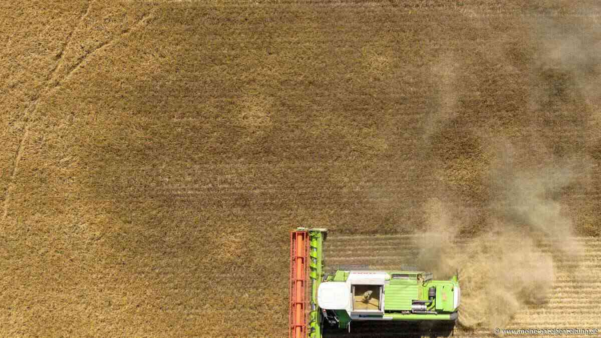 Totaler Ernteausfall droht: Süden trifft es besonders – Bauern fordern drei Sofortmaßnahmen