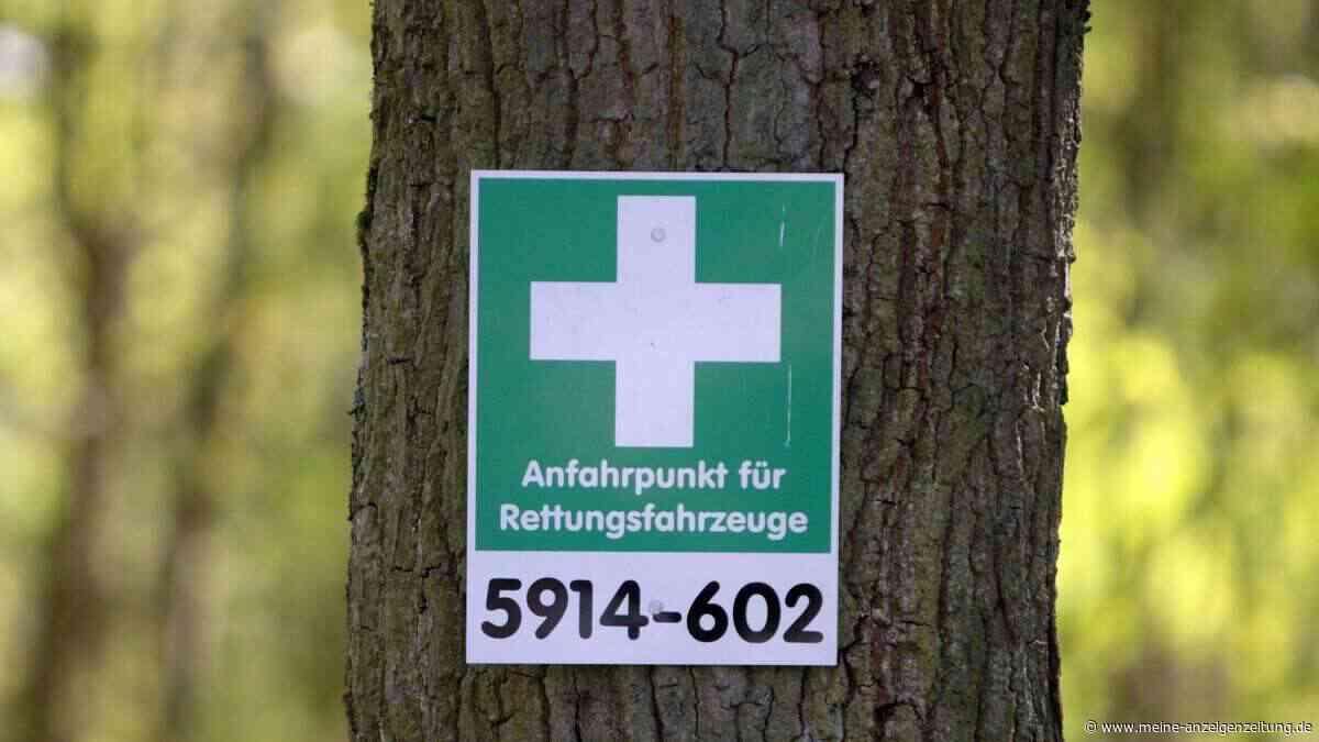 Wenn der Wald brennt: die wichtigsten Verhaltensregeln