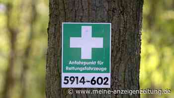 Wenn der Wald brennt: die wichtigsten Verhaltensregeln