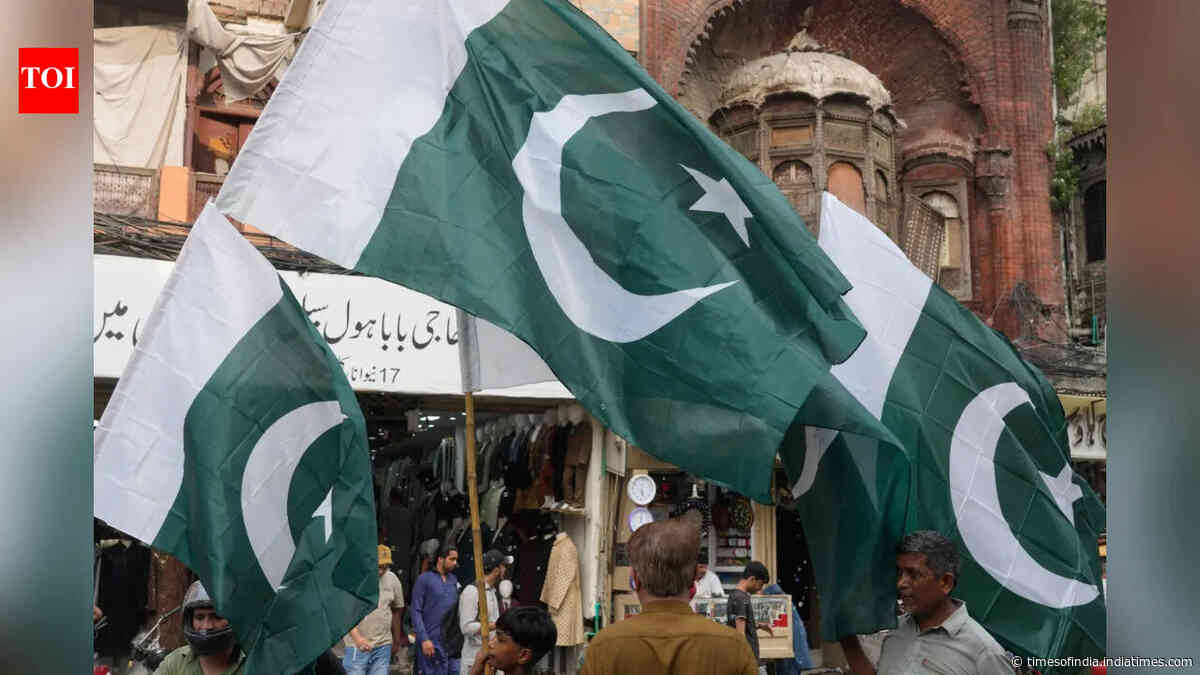 Pakistan joins China Moon race with Jinnah-1 rover; mission in 2029