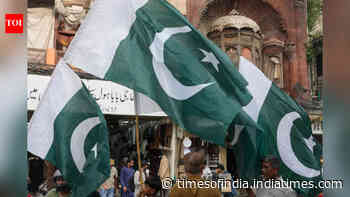 Pakistan joins China Moon race with Jinnah-1 rover; mission in 2029