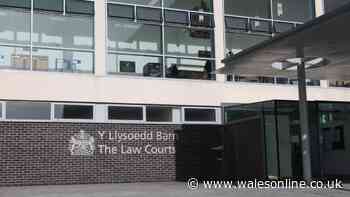 Ex-North Wales Police detective learns fate after assault