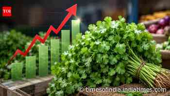 Your humble dhaniya no longer free! Coriander prices rise above Rs 200 kg as heavy rains disrupt supply