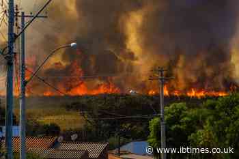 Stourbridge Wildfire Burns Six Homes as England and Wales Hit 1,017 Fires Before Autumn
