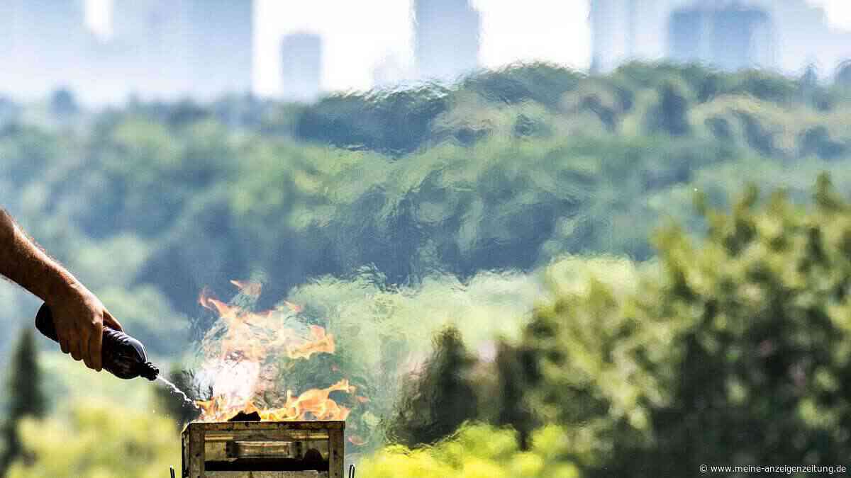 Brandgefahr im Sommer: Was im Wald verboten ist