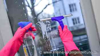 Diese Glasreiniger hinterlassen beim Putzen Schlieren auf den Fenstern