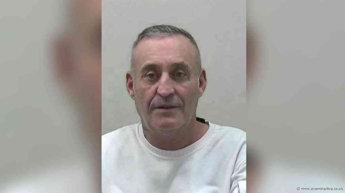 Man jailed for saying 'Hitler knew' and performing Nazi salute on busy plane