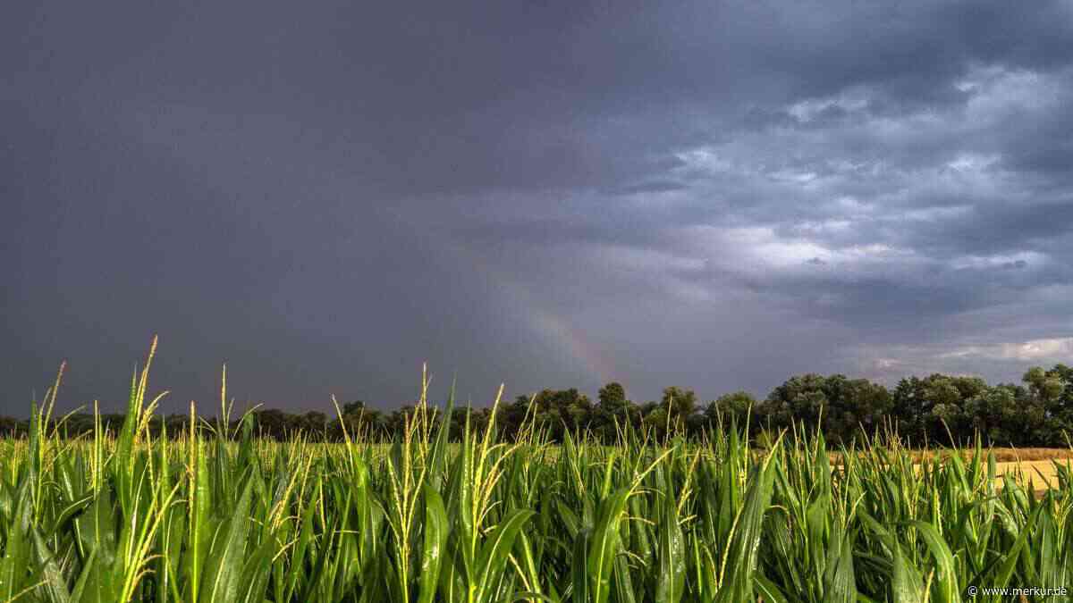 Plötzlicher Wetterumschwung genau zum Stichtag: Was das laut Bauernregel jetzt bedeutet