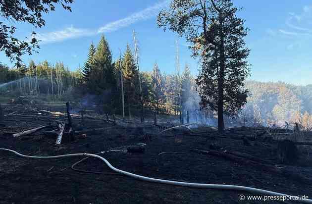 FW Kreis Soest: Mehr als 100 Einsatzkräfte weiterhin beim Waldbrand im Einsatz / Kräftezehrende Arbeiten bei hohen Temperaturen