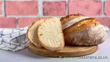 Homemade bread is ready in minutes if you use just 2 ingredients — no oven needed