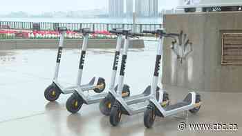 Nearly 50 Bird scooters stolen in Windsor recently, company says